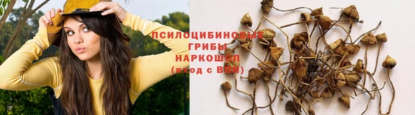 скорость mdpv Алзамай