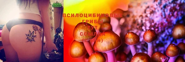 мяу мяу кристалл Алексин